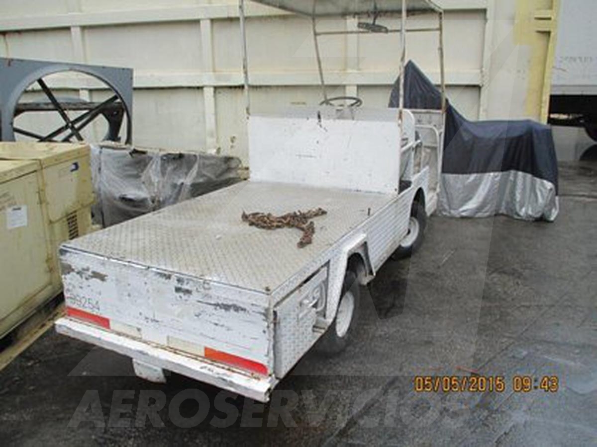 Utility Vehicle Taylor-Dunn B-248