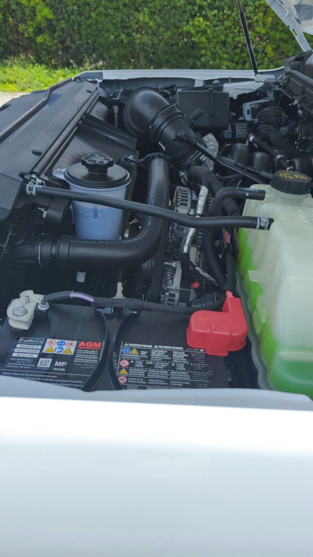 Truck Chassis Ford F-600