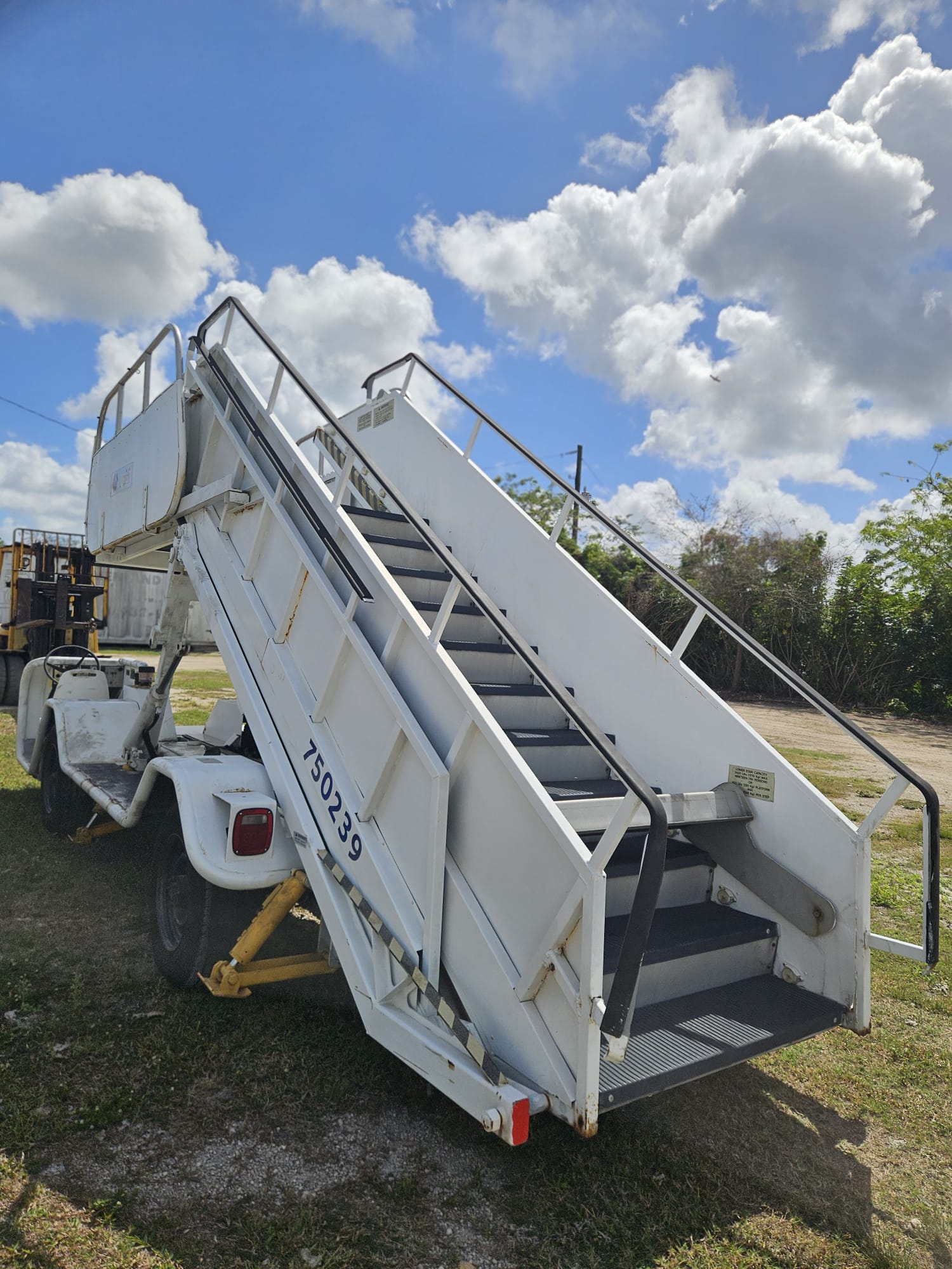 Motorized Passenger Wollard TLPH-310E