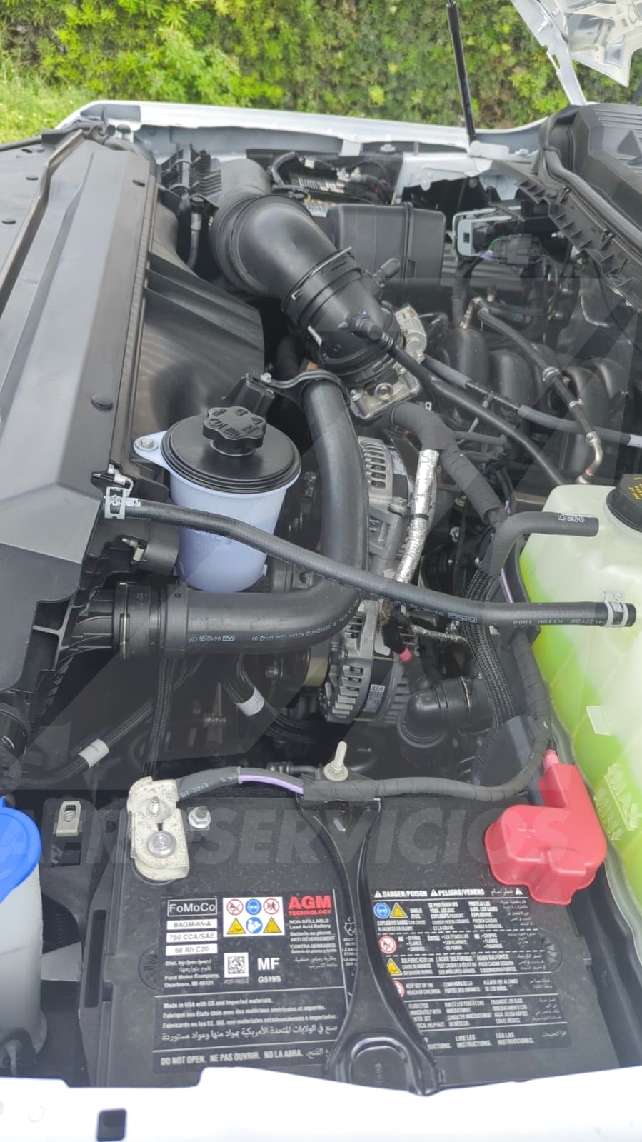 Truck Chassis Ford F-600